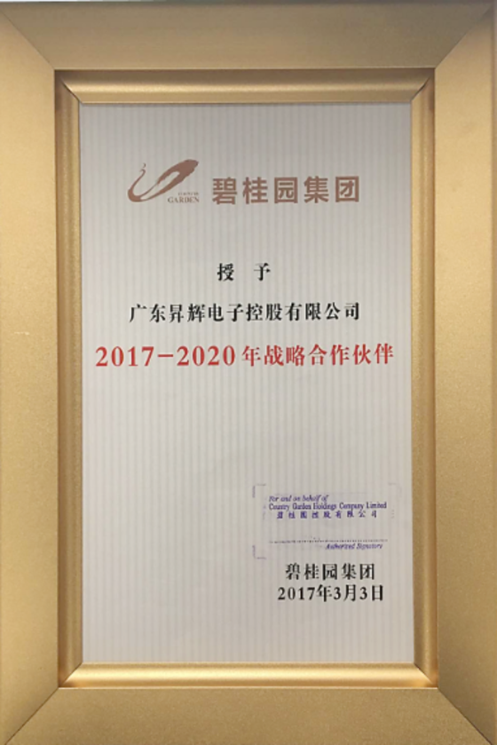 2017-2020年战略合作伙伴